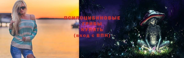 Альфа ПВП Медвежьегорск