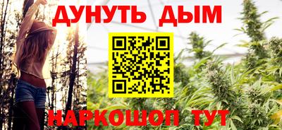 ALPHA PVP Гай