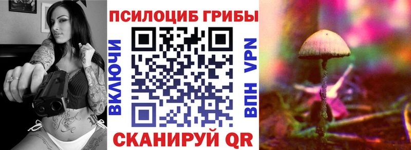 Галлюциногенные грибы мухоморы  купить   МЕГА как зайти  Орск 