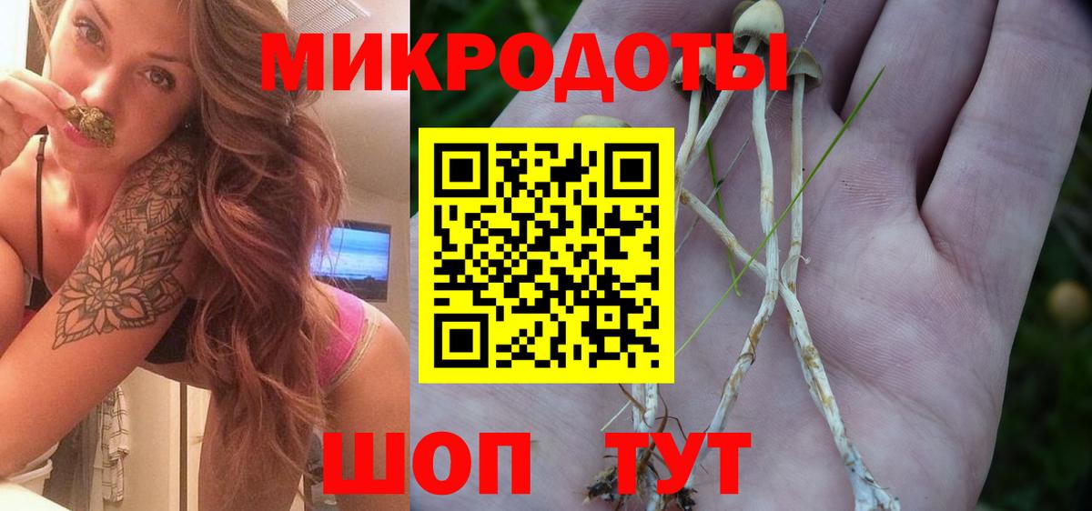 Псилоцибиновые грибы GOLDEN TEACHER Орск